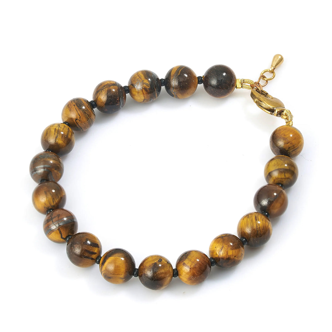 Tiger’s Eye Smooth (Male)