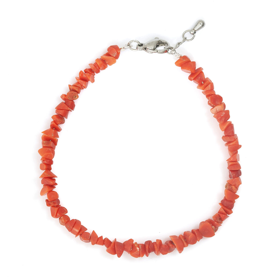 Coral (Male)