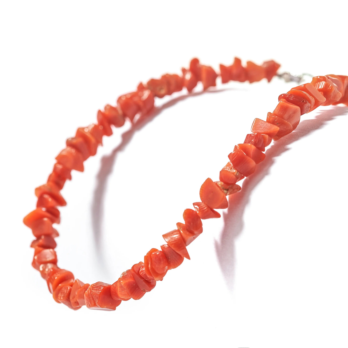 Coral (Male)